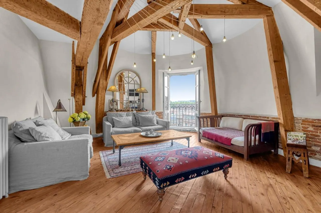 Apartment Le Florentin - Grand Appt Climatise Toulouse