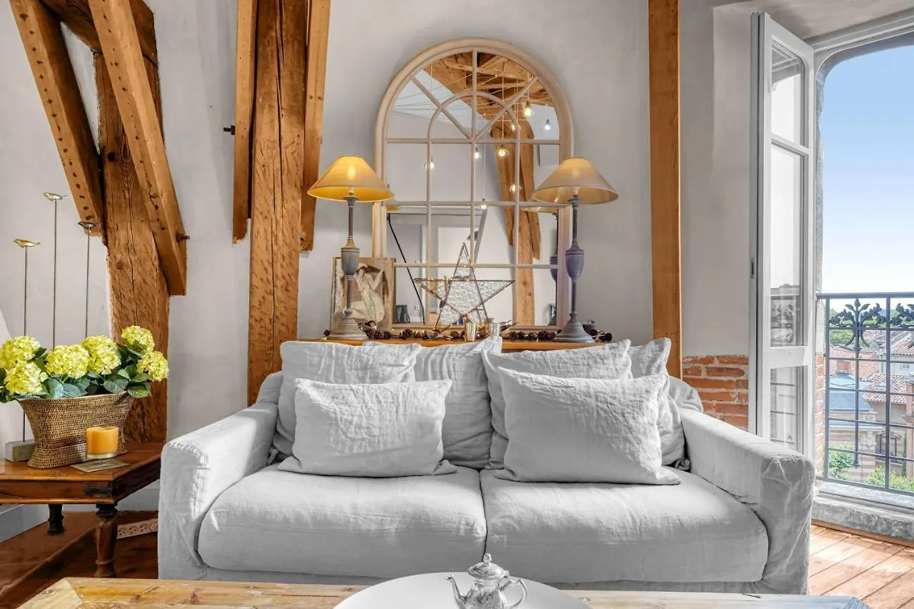 Apartman Le Florentin - Grand Appt Climatise Toulouse